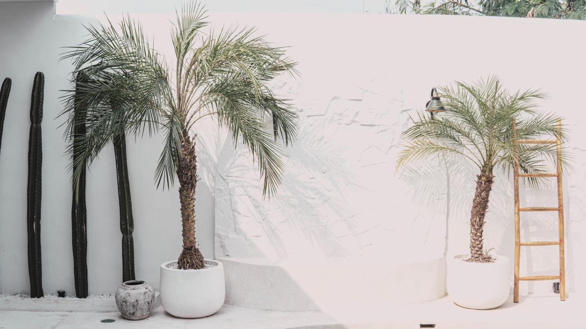 Bohemian Jogja Villas With Private Pool Kejayan Ngoại thất bức ảnh